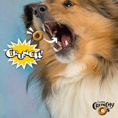 Fromm Crunchy Os Blueberry Blasts Dog Treats - Premium Crunchy Dog Treats - Chicken Recipe