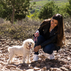 Coastal Pet Styles Adjustable Dog Collar - Stylish Patterned Fabrics - Snap-Lock Buckle - Adjustable Dog Collar - For Small, Medium or Large Dogs - Special Paws