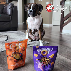 Fromm Crunchy Os Smokin' CheesePlosions Dog Treats - Premium Crunchy Dog Treats - Pork Recipe.