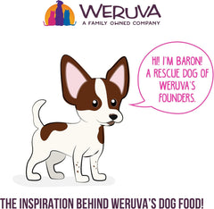 Weruva Best Fido Friend Fun Size Meals for Dogs, You My Munchkin