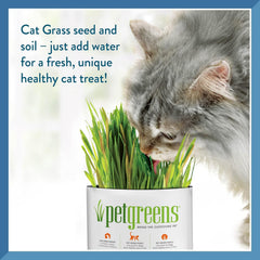 Pet Greens Self-Grow Pet Grass Kit