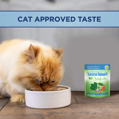 Natural Balance Original Ultra Platefulls Adult Grain Free Wet Cat Food Salmon, Chicken & Giblets Formula in Gravy, 3 Ounce Pouch (Pack of 24)