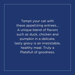 Natural Balance Original Ultra Platefulls Indoor Adult Grain Free Wet Cat Food, Duck, Chicken & Pumpkin Recipe, 3 Ounce Pouch (Pack of 24)