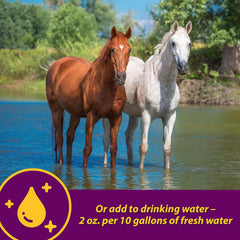 Apple-Dex Electrolytes – 30 lbs