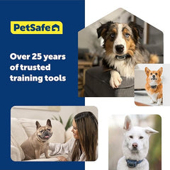 PetSafe Spray Bark Dog Collar, Automatic No Bark Device for Dogs 8 lb. and Up - Rechargeable and Water-Resistant – Includes Citronella and Unscented Spray Refills & USB Charging Cable, Navy