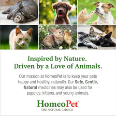 HomeoPet Skin and Itch, Safe and Natural Itch Relief for Dogs and Cats, Coat and Skin Soother for Pets, 15 Milliliters