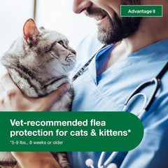 Elanco Advantage Cat Vet-Recommended Flea Treatment & Prevention | 6-Month Supply