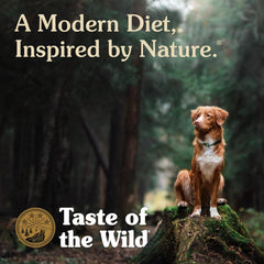 Taste Of The Wild Sierra Mountain Dry Dog Food