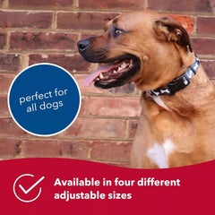 Coastal Pet Styles Adjustable Dog Collar - Stylish Patterned Fabrics - Snap-Lock Buckle - Adjustable Dog Collar - for Small, Medium or Large Dogs - Plaid Bones