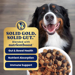 Solid Gold Lamb Dog Food Dry for Adult & Senior Dogs– High Protein Healthy Dog Kibble for Medium & Large Breeds – Whole Grain, Omega 3 & Probiotics for Gut Health & Digestion – Nutrientboost 24-lb