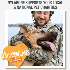 Nylabone Springa Interactive Dog Toy for Small Dogs - Lightweight Flexible Floatable Dog Tug Toy for Creative Play & Dog Exercise