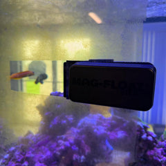 Large Black Stealth Glass Magnet Aquarium Scraper Cleaner with Blade - Floating Magfloat Magnetic Cleaning Tool