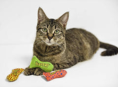 Yeowww Stinkies Catnip Toy
