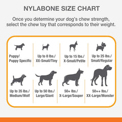 Nylabone Spin Tug & Play Puppy Chew Toy for Teething - Puppy Supplies - Peanut Butter Flavor