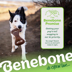 Benebone Dental Durable Dog Chew Toy for Aggressive Chewers, Real Chicken, Made in USA