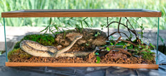Galápagos Tropicoco Husk Natural Coconut Husk Bedding