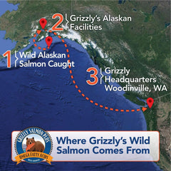 Grizzly Pet Products Salmon Plus Omega 3-6-9 Food Supplement for Dogs and Cats