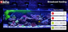 Red Sea Reef Energy Plus (AB+) All In One Coral Food for Saltwater Aquarium Marine Reef Tanks | Food for Soft, LPS, SPS, and Non-Photosynthetic Corals