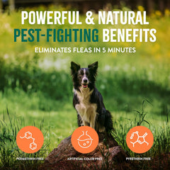 TropiClean Natural Maximum Strength Flea and Tick Spray for Dogs 16-oz