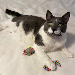 SPOT Catch N' Release Cat Toy with Irresistible Texture and Catnip, Indoor Cat Essentials, for Cats and Kittens, 2 Assorted Figures