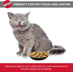SPOT Two Tone Gray Oval Cat Food Dish - Ceramic Plate with Low Edges, Saucer with Whisker-Friendly Shape and Low-Profile Sides, Ideal for Wet or Dry Cat Food, Hand Wash Only, 6 inch (1 Cup- 8 Oz)