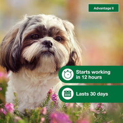 Elanco Advantage II Dog Vet-Recommended Flea Treatment & Prevention | 6-Month Supply