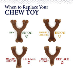 Nylabone Gourmet Style Stick Strong Chew Toy for Dogs, Peanut Butter Flavor, Medium