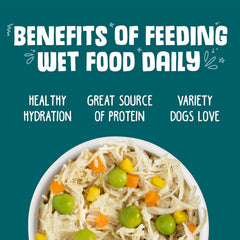 Weruva Classic Dog Food, Funky Chunky Chicken Soup with Chicken Breast & Pumpkin in Gravy (Pack of 12)