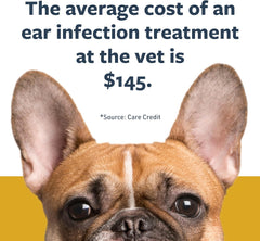 Veterinary Formula Clinical Care Ear Therapy – Cat and Dog Ear Cleaner to Help Soothe Itchiness and Cleans The Ear Canal from Debris and Buildup That May Cause Infection