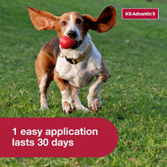 Elanco K9 Advantix II Dog Vet-Recommended Flea, Tick & Mosquito Treatment & Prevention | 6-Mo Supply
