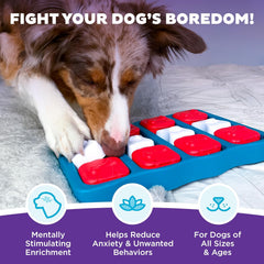 Nina Ottosson Dog Brick Treat Puzzle Enrichment Toy, Level 2 Intermediate Game, Blue