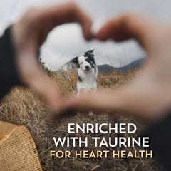 Sensitive Skin & Stomach with Lamb Protein & Ancient Grains Dry Food for Dogs & Puppies (30 lb. Bag)