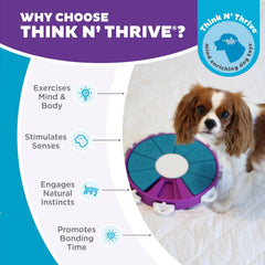 Nina Ottosson Dog Twister Treat Puzzle Enrichment Toy, Level 3 Advanced, Purple