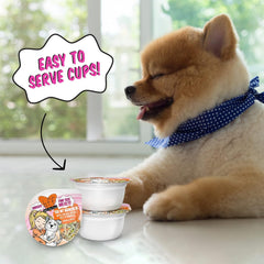 Weruva Best Fido Friend Fun Size Meals for Dogs, You My Munchkin