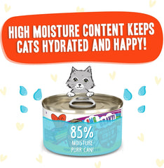 Weruva B.F.F. OMG - Best Feline Friend Oh My Gravy!, Chicken & Salmon Stir It Up with Chicken & Salmon in Gravy