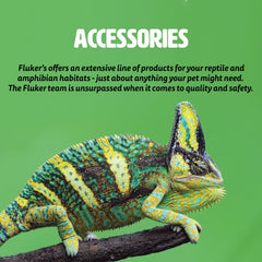 Fluker's Food and Water Reptile Corner Bowl