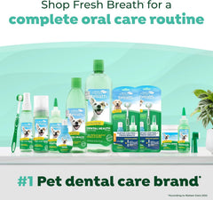 TropiClean Fresh Breath Oral Care Spray for Dogs & Cats