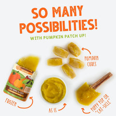 Weruva Pumpkin Patch Up! Pumpkin Pouches for Dogs & Cats 12 Pouches