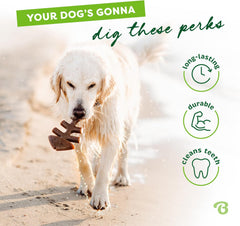 Benebone Fishbone Durable Dog Chew Toy for Aggressive Chewers, Real Fish, Made in USA