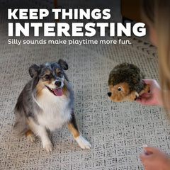 Outward Hound, Hedgehogz Plush Dog Toy