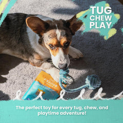 Snugarooz Snuggle Ball Dog Toy – TPR with Braided Cotton Rope – Aids Dental Health – Durable for Chewing & Fetch Play - Made from Recycled Materials