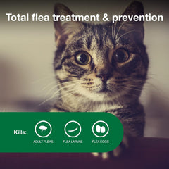 Elanco Advantage Cat Vet-Recommended Flea Treatment & Prevention | 4-Month Supply