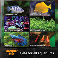 Kordon AmQuel Plus Aquarium Water Conditioner - Instantly Detoxifies Ammonia, Nitrite, Nitrate, and Chlorine Remover for Freshwater & Saltwater Aquariums, 16 Ounces