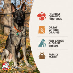 Fromm Gold Nutritionals Large Breed Adult Dry Dog Food.