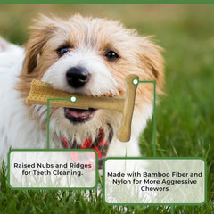 SPOT Bam-Bones Plus T Bone - Bamboo Fiber & Nylon, Durable Long Lasting Dog Chew for Aggressive Chewers – Toy for Dogs & Puppies Under 60lbs, Non-Splintering, Allergen Free Peanut Butter Flavor