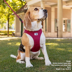 curli Vest Harness curli Clasp Air-Mesh Light-Tan