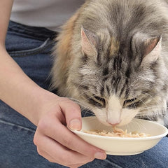Inaba Chicken Broth, Shredded Chicken & Broth Side Dish/Topper for Cats with Vitamin E, 1.76 Ounce Pouch, 8 Pouches Total, Chicken and Salmon Recipe