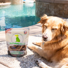 Loving Pets Natural Value Chicken Sausages - Soft Jerky Dog Treats for Large & Small Breeds - Healthy Gluten, Wheat, Soy & Grain Free Pet Treats for Dogs