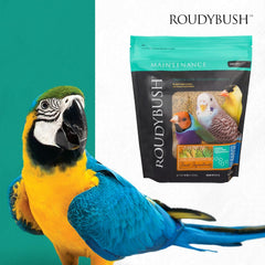 Roudybush Daily Maintenance Bird Food Nibbles – 25 lb