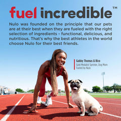 Nulo Freestyle Limited Ingredient Lamb Recipe Dry Kibble Dog & Puppy Food